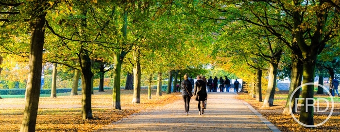 Healthy Living Green Spaces in Fulham