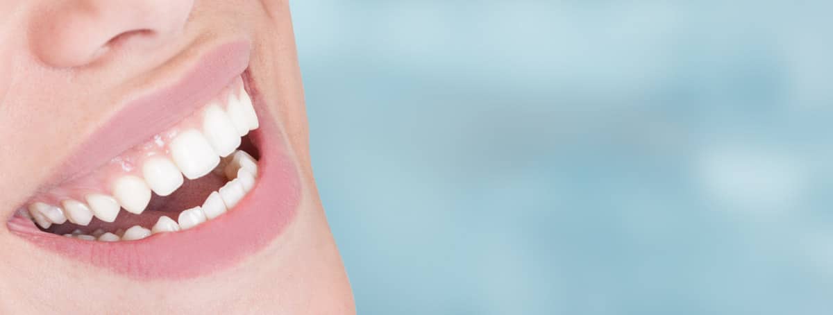 The importance of crunchy foods The importance of crunchy foods